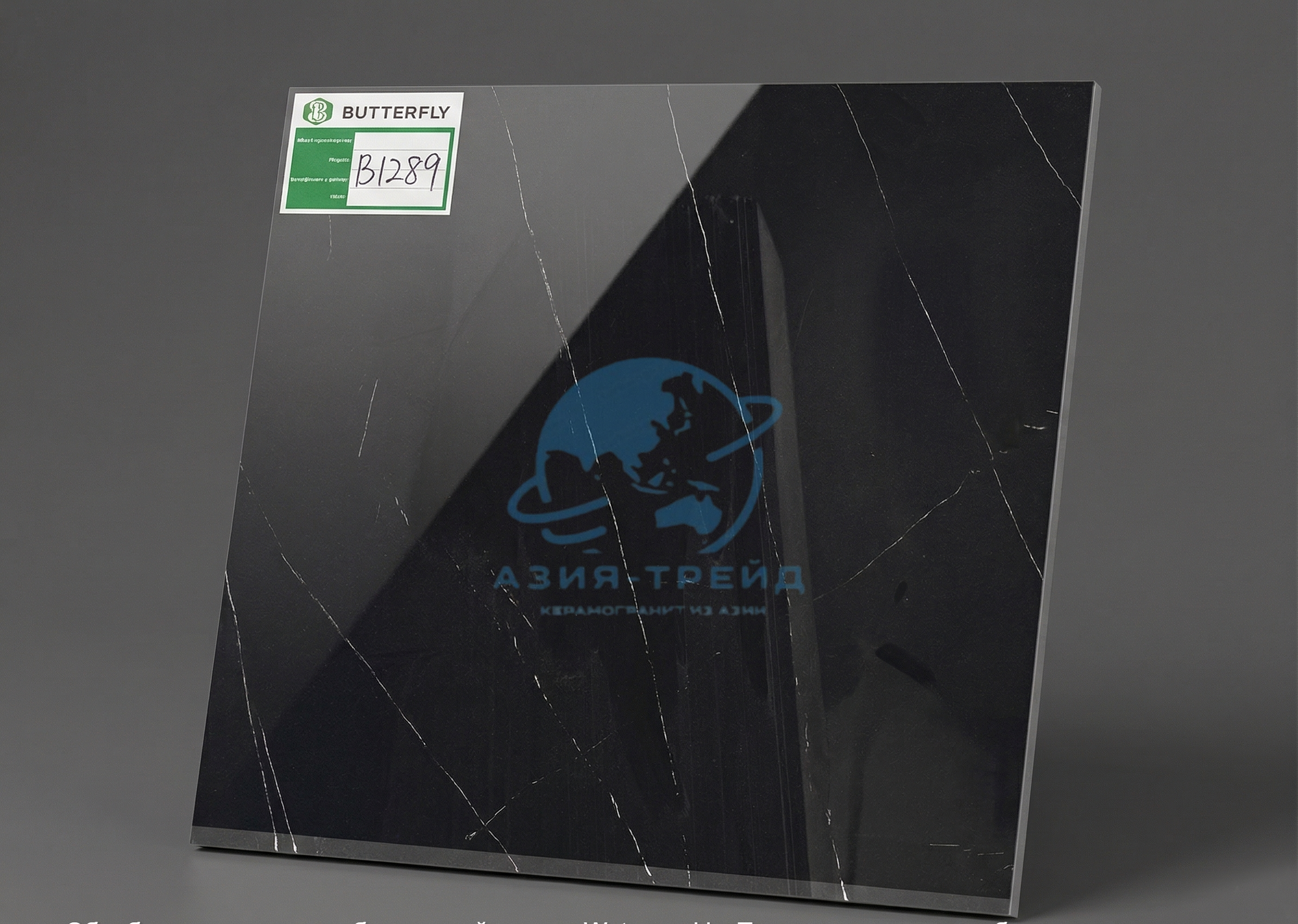 WSC-B289-60x60